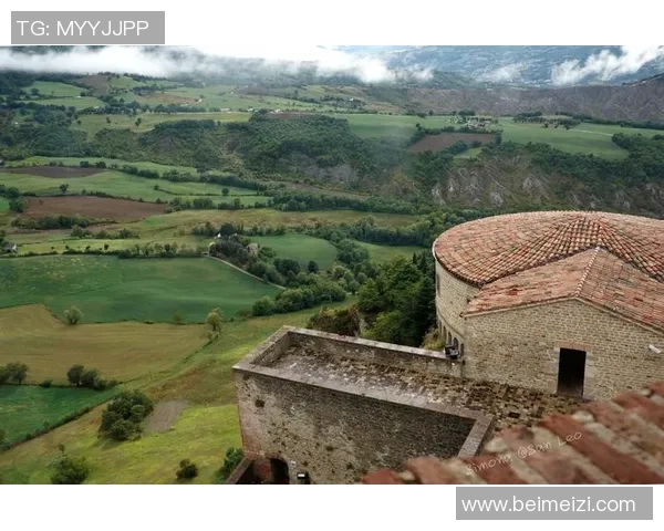 莱奥的成长之路从小镇到世界舞台的奋斗与荣耀